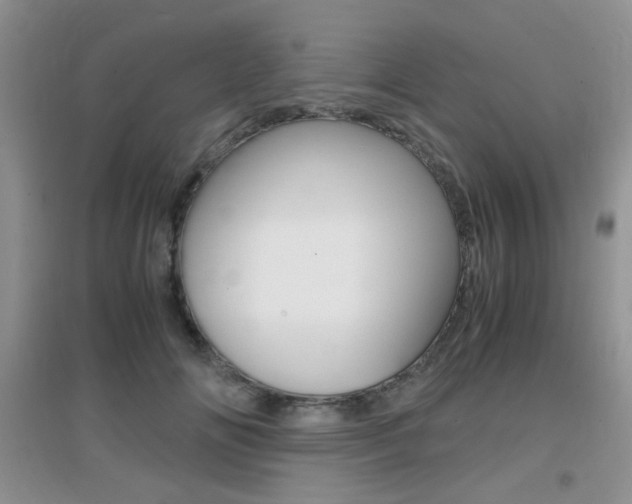 X0000096940702200802080859