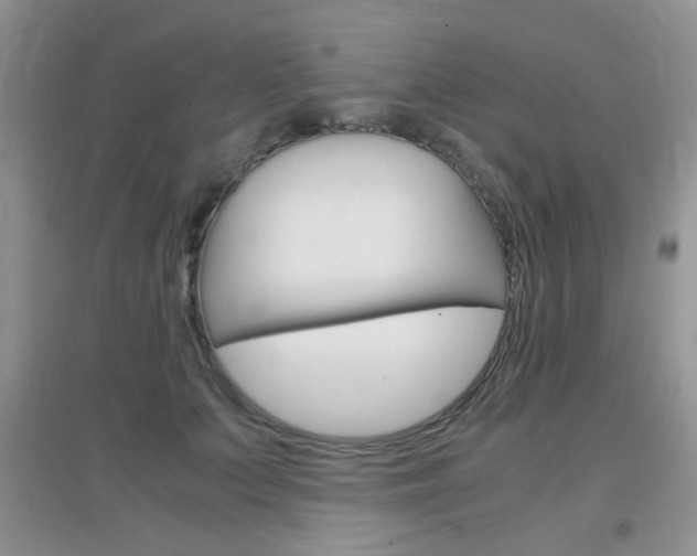 X0000096940703200802080859