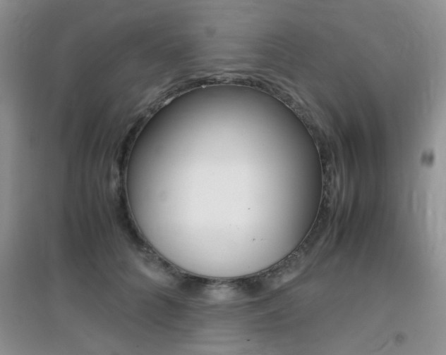 X0000096940704200802080858