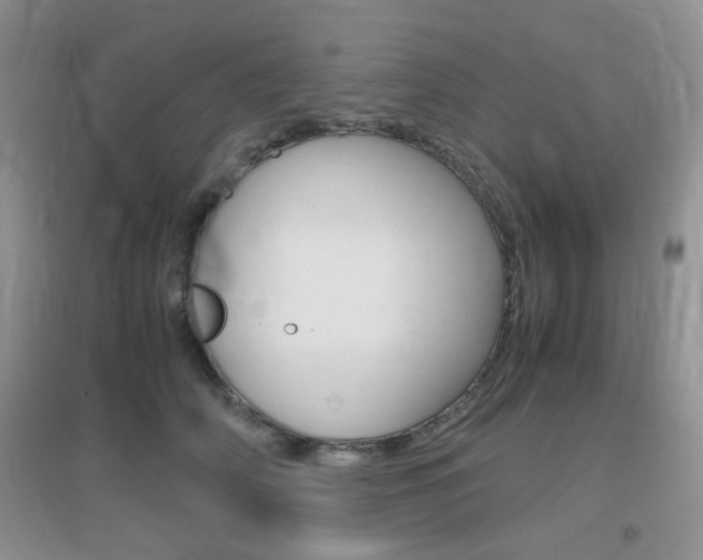 X0000096940706200802080858