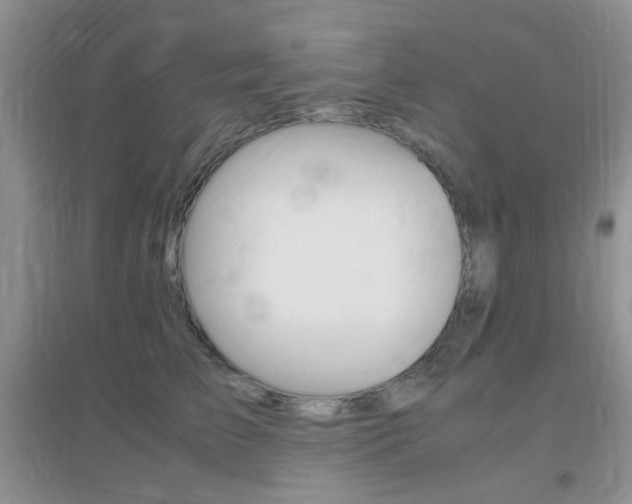 X0000096940709200802080858