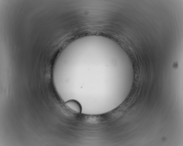 X0000096940710200802080858