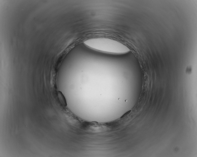 X0000096940712200802080858
