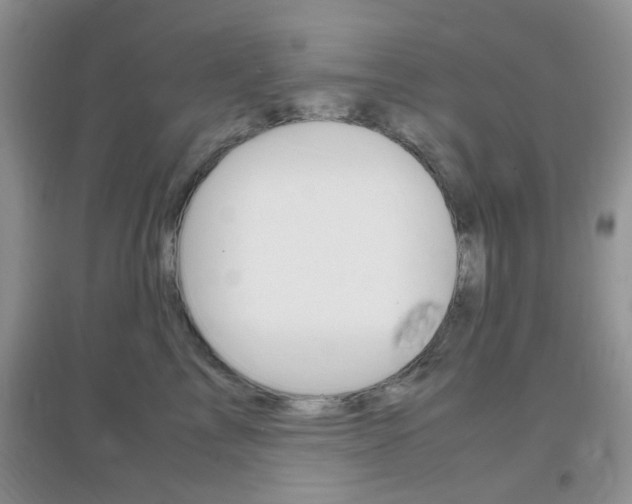 X0000096940713200802080858