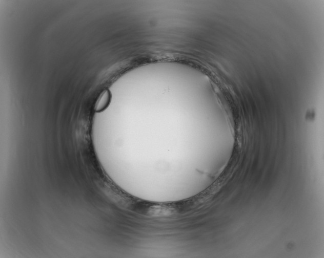 X0000096940714200802080858