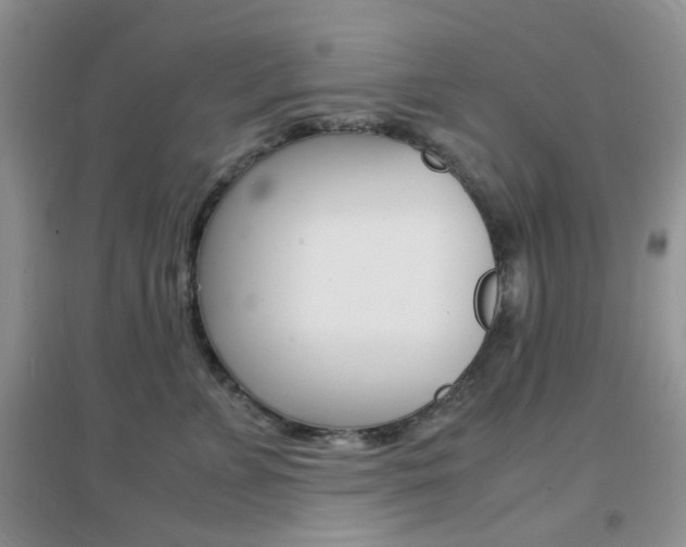 X0000096940715200802080858