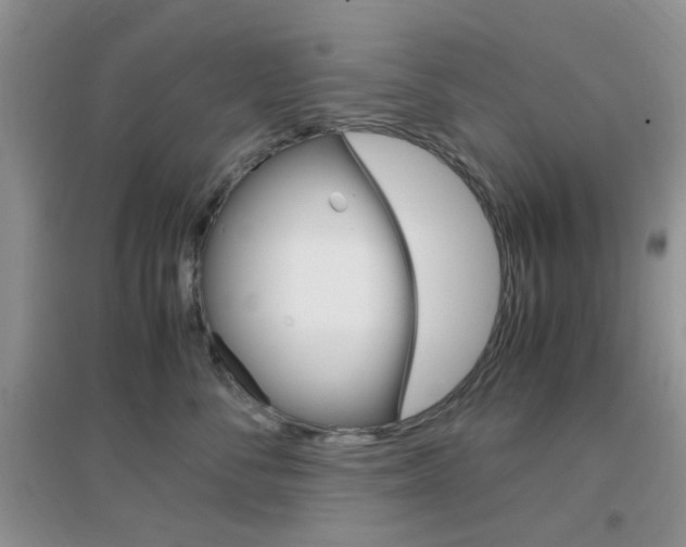 X0000096940716200802080858