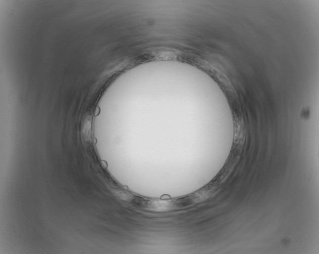 X0000096940717200802080858