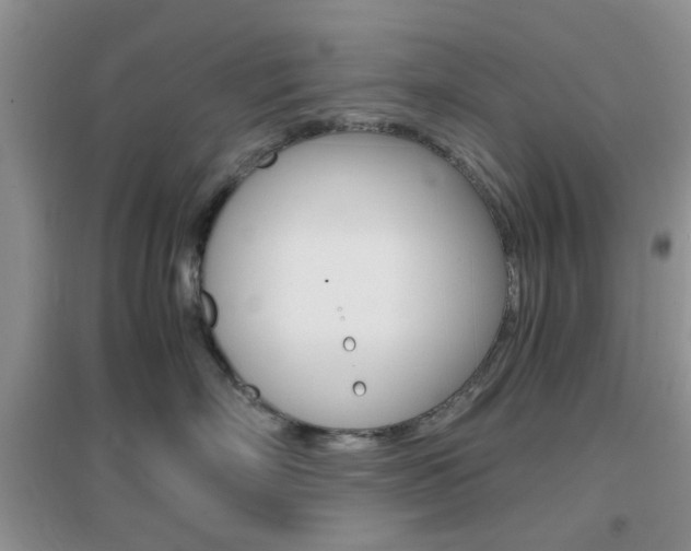 X0000096940718200802080858