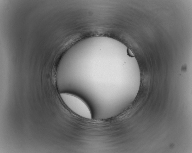 X0000096940719200802080858