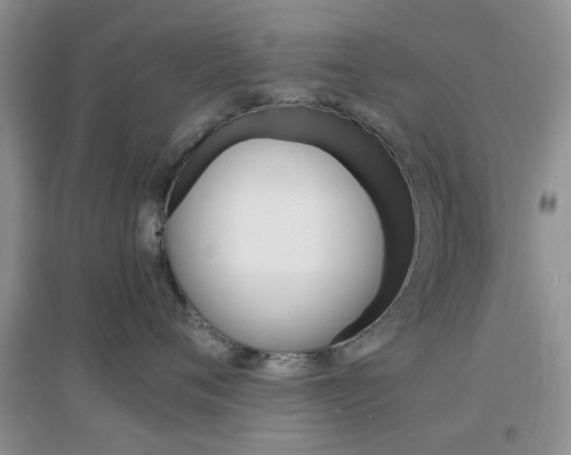X0000096940720200802080858