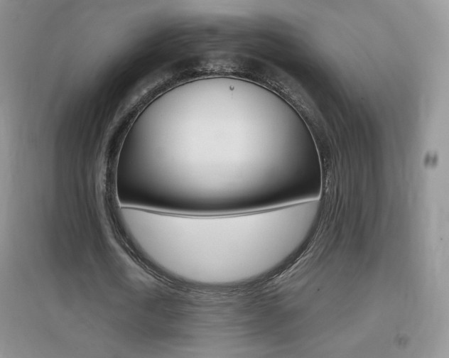 X0000096940722200802080858
