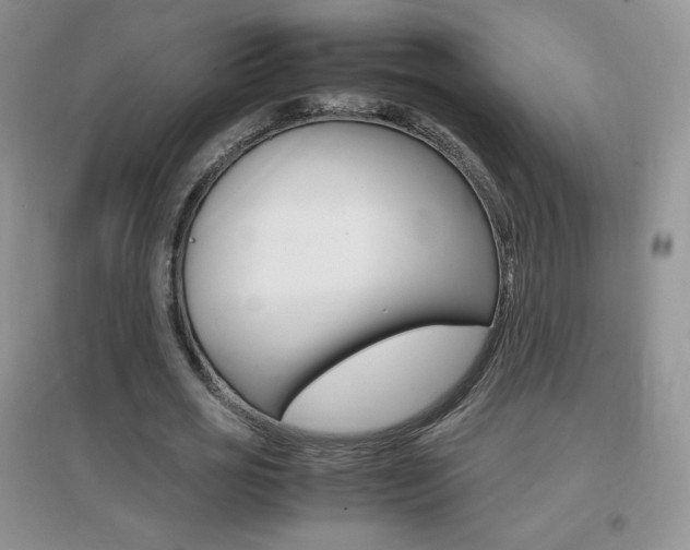 X0000096940725200802080858