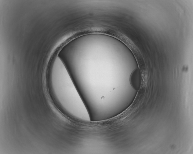 X0000096940726200802080858