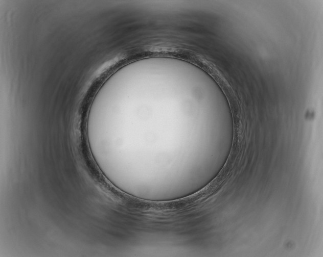 X0000096940727200802080858