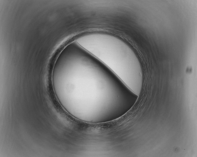 X0000096940728200802080858