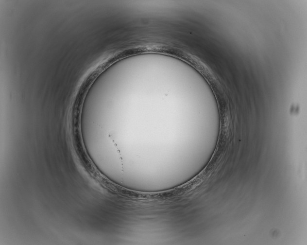 X0000096940730200802080858