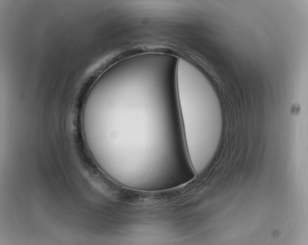 X0000096940732200802080858