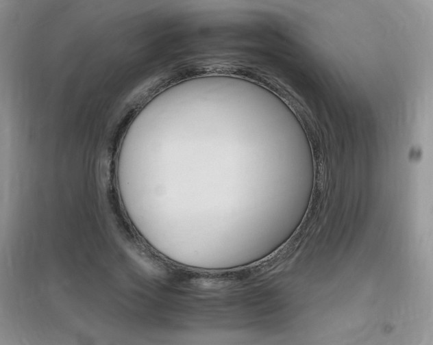 X0000096940733200802080858