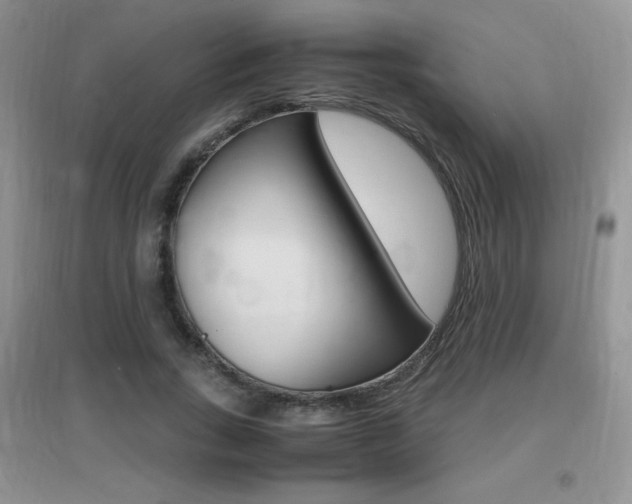 X0000096940735200802080858