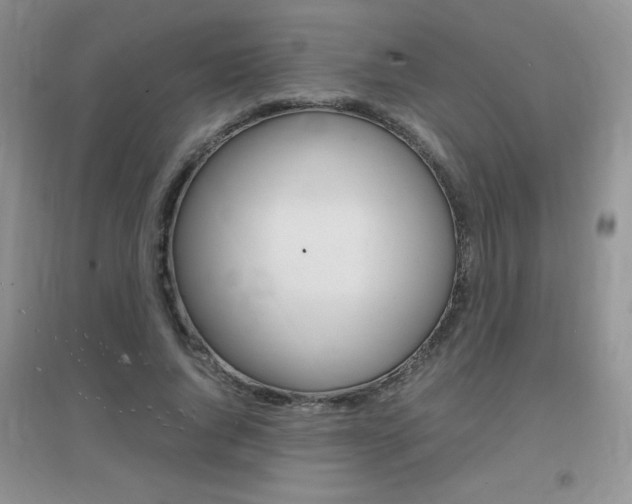 X0000096940736200802080858