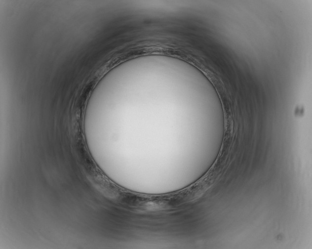 X0000096940737200802080858