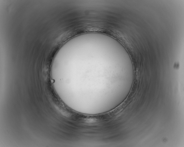 X0000096940741200802080858