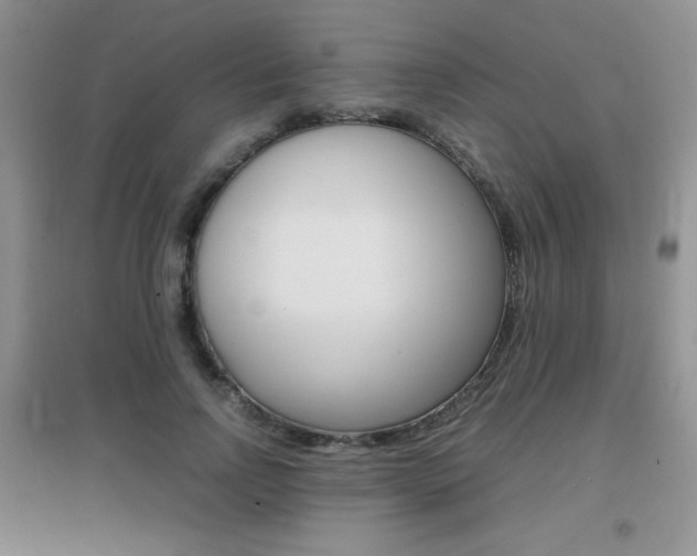 X0000096940742200802080858