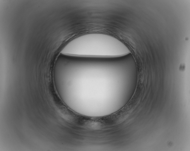 X0000096940743200802080858