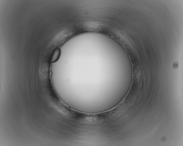 X0000096940744200802080858
