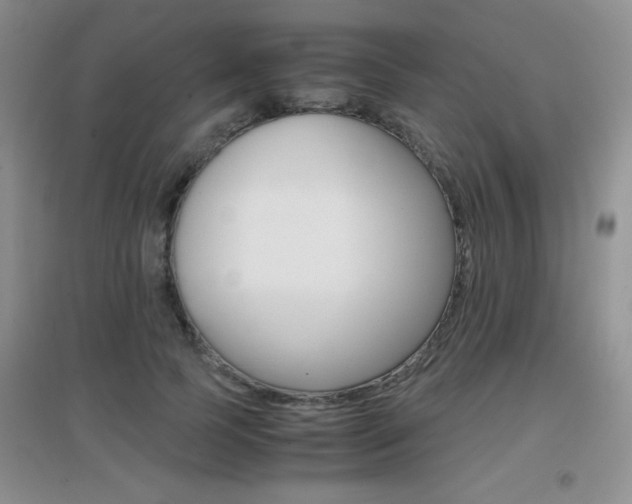 X0000096940745200802080858