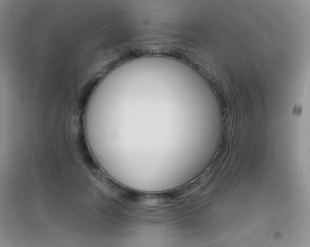 X0000096940746200802080858