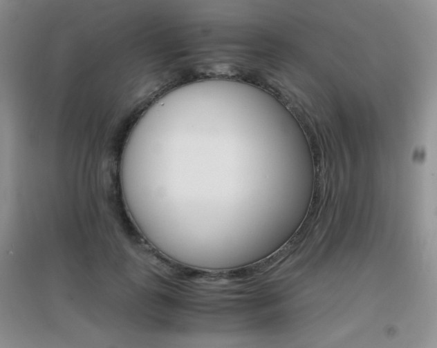 X0000096940747200802080858