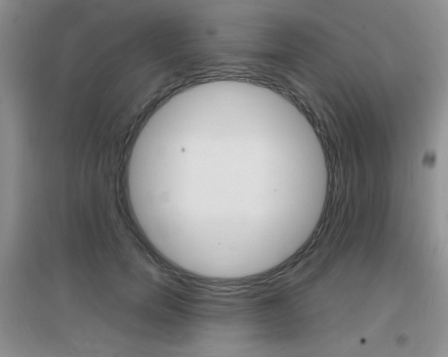 X0000096940750200802080858