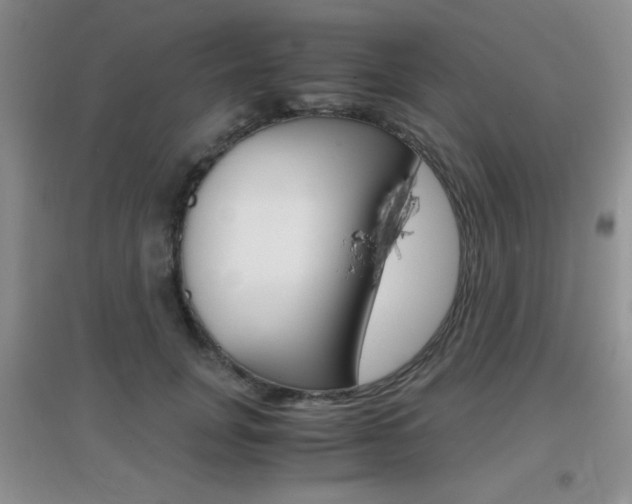 X0000096940751200802080858