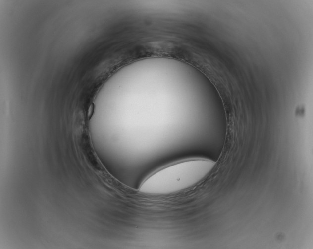 X0000096940752200802080858