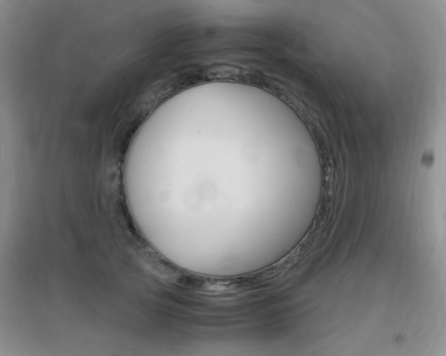 X0000096940753200802080858