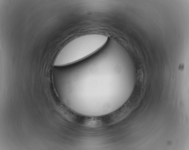 X0000096940754200802080858