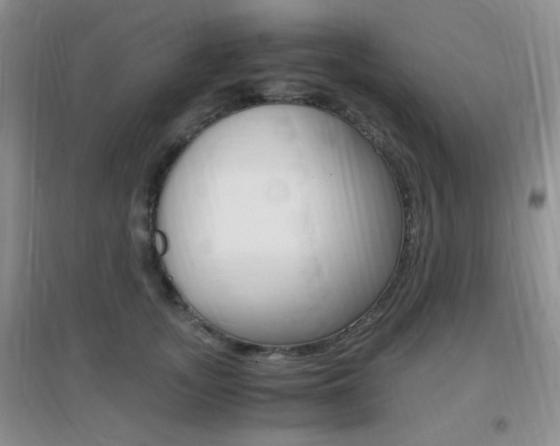 X0000096940755200802080858