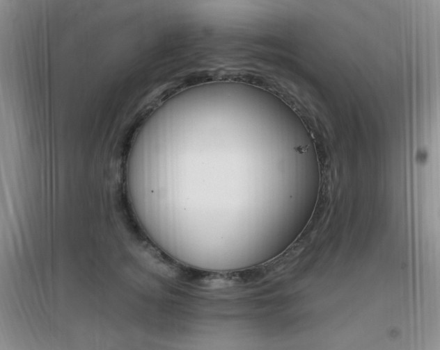 X0000096940756200802080858