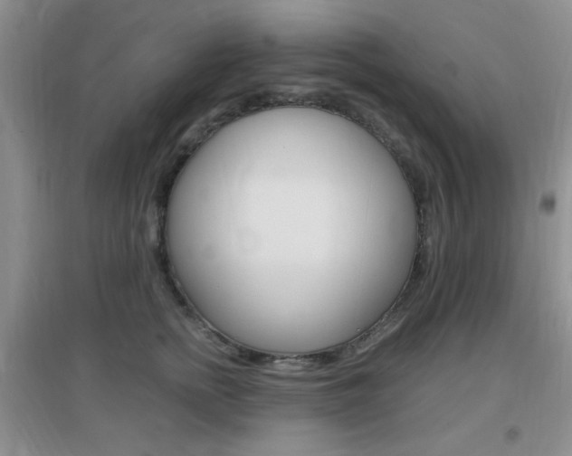 X0000096940758200802080858