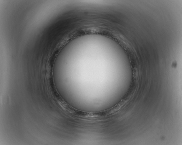 X0000096940760200802080858