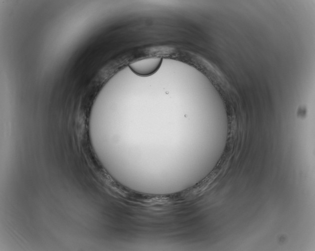 X0000096940761200802080858