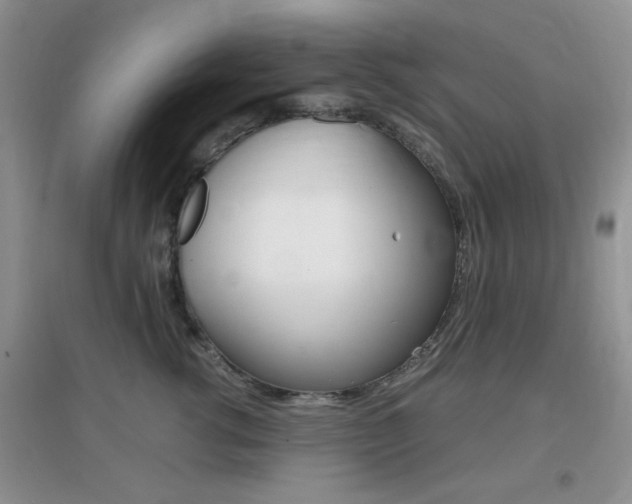 X0000096940762200802080858