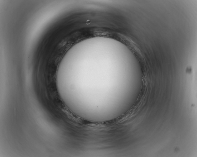 X0000096940763200802080858