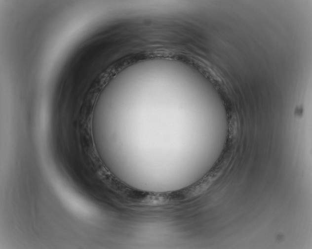 X0000096940764200802080858