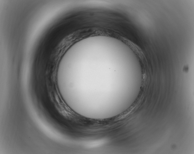 X0000096940765200802080858
