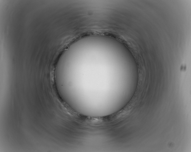 X0000096940768200802080858
