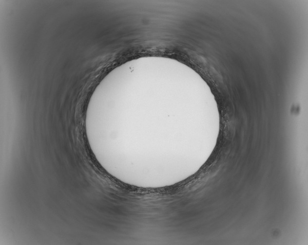 X0000096940769200802080858