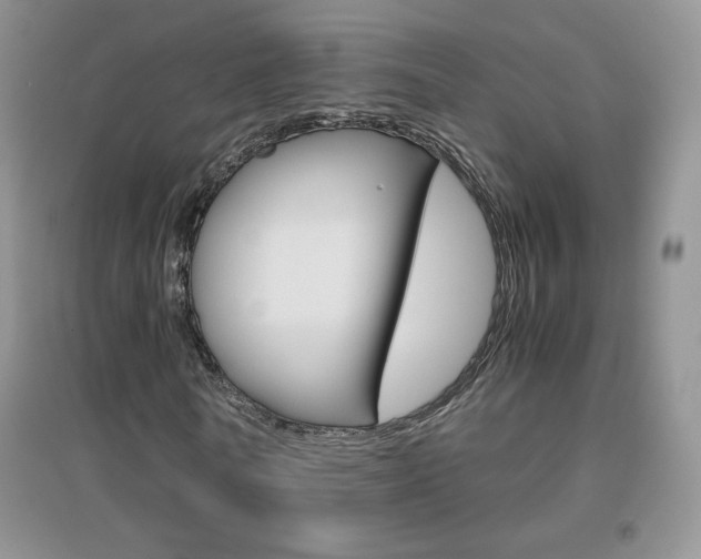 X0000096940770200802080858